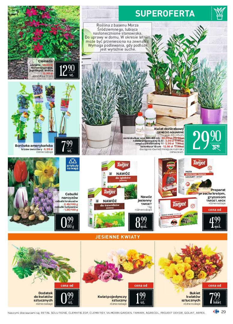 Gazetka promocyjna Carrefour str. 29