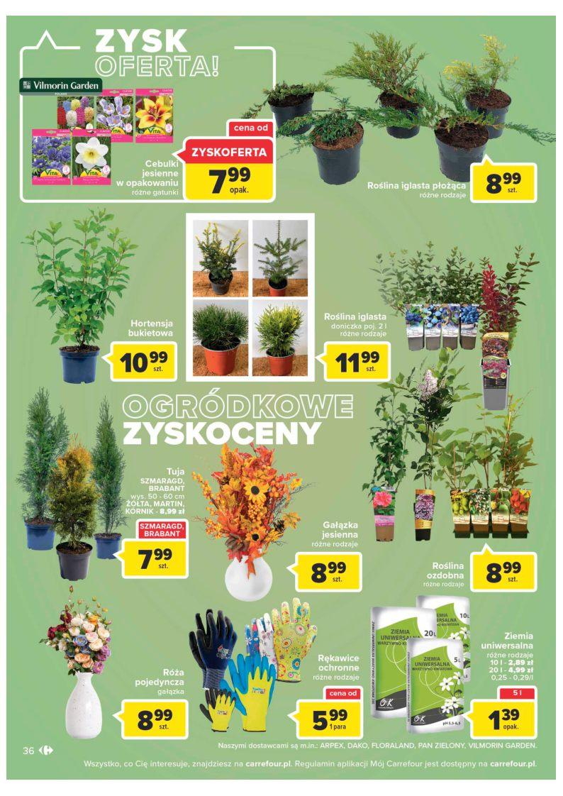 Gazetka promocyjna Carrefour str. 36
