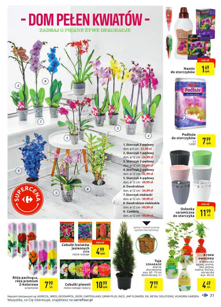 Gazetka promocyjna Carrefour str. 31