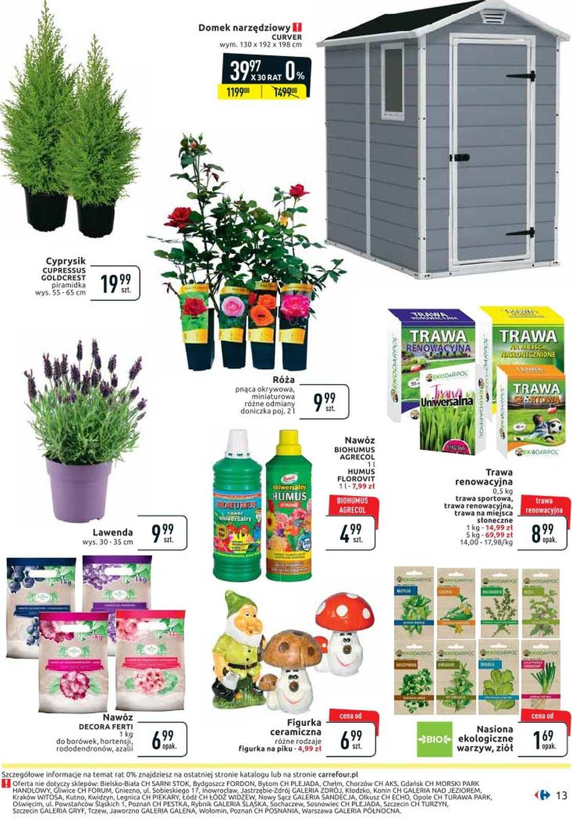 Gazetka promocyjna Carrefour str. 13