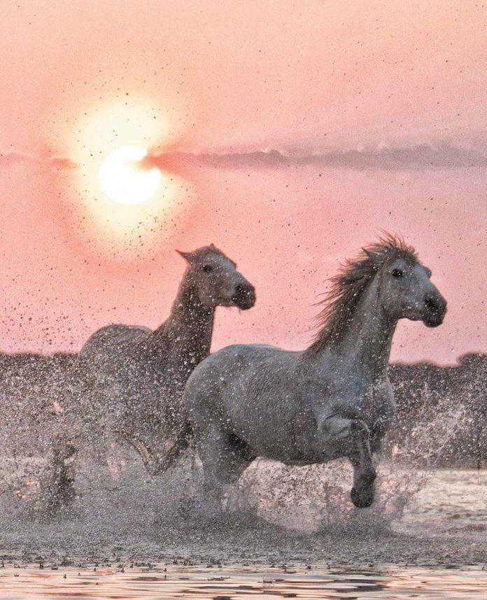 Gazetka promocyjna Carrefour str. 119