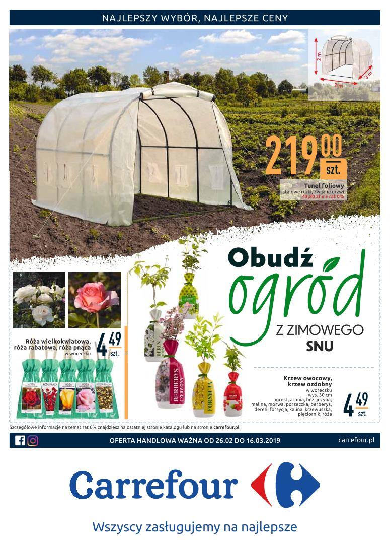 Gazetka promocyjna Carrefour str. 1