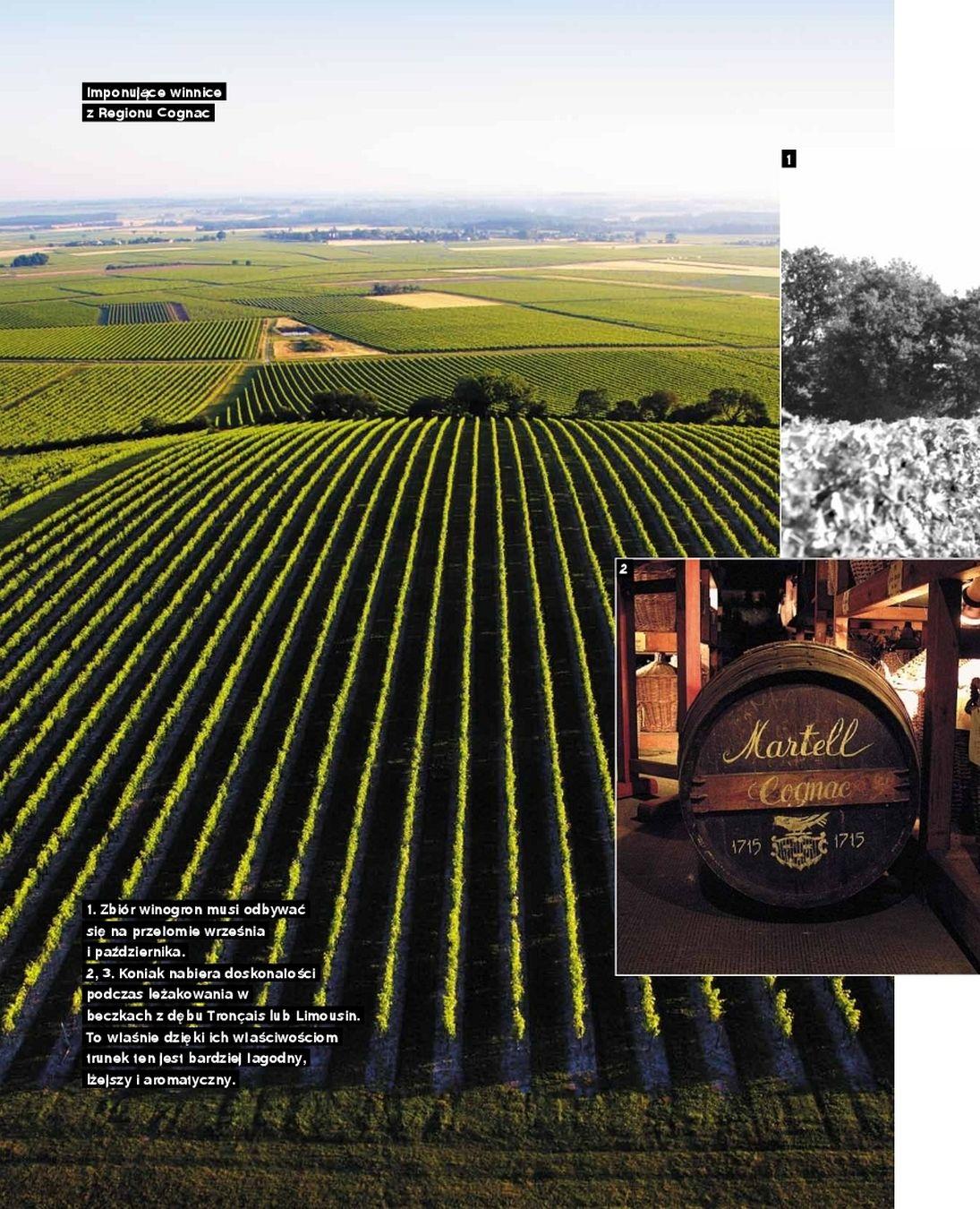 Gazetka promocyjna Carrefour str. 46