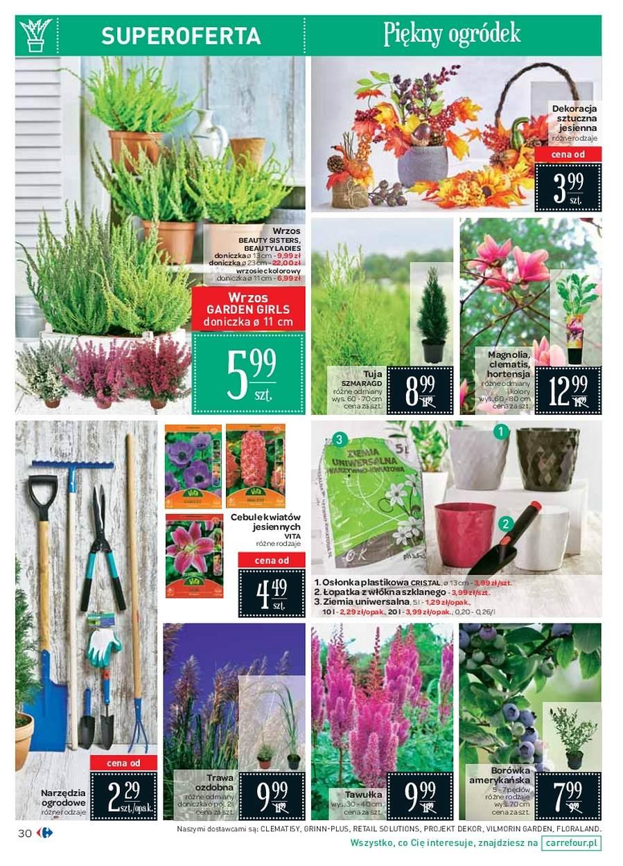 Gazetka promocyjna Carrefour str. 30