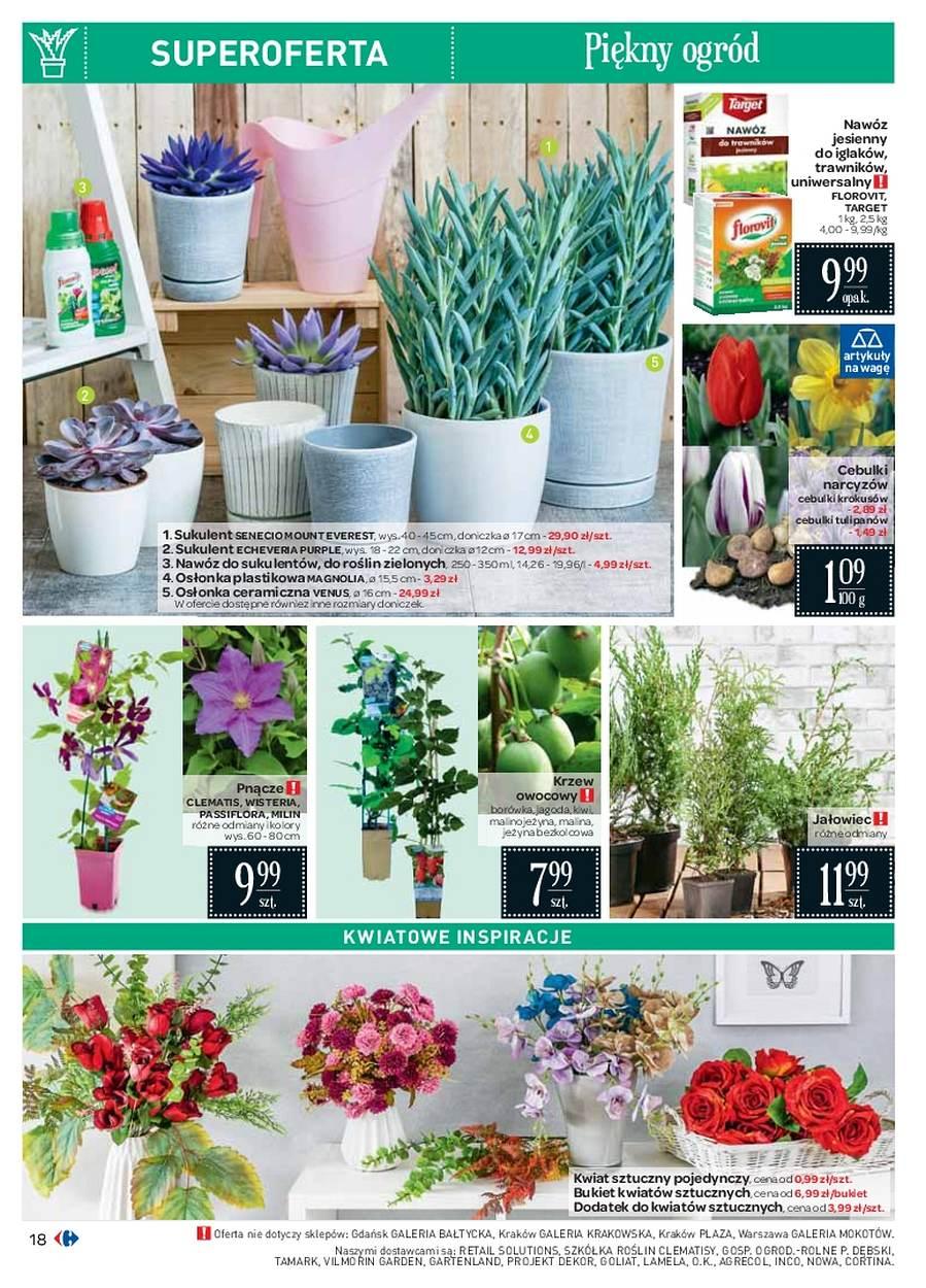 Gazetka promocyjna Carrefour str. 18