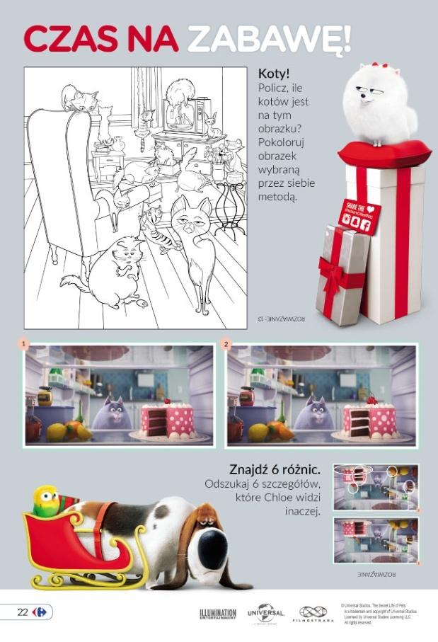 Gazetka promocyjna Carrefour str. 22