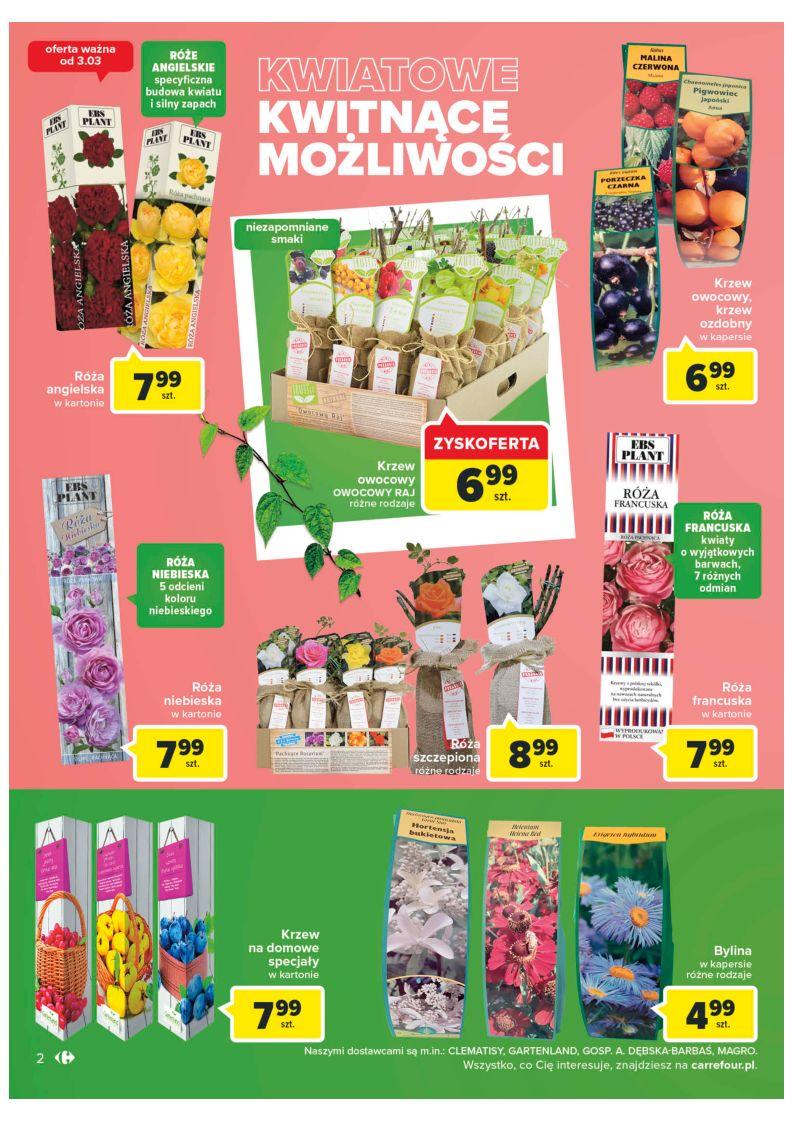 Gazetka promocyjna Carrefour str. 2