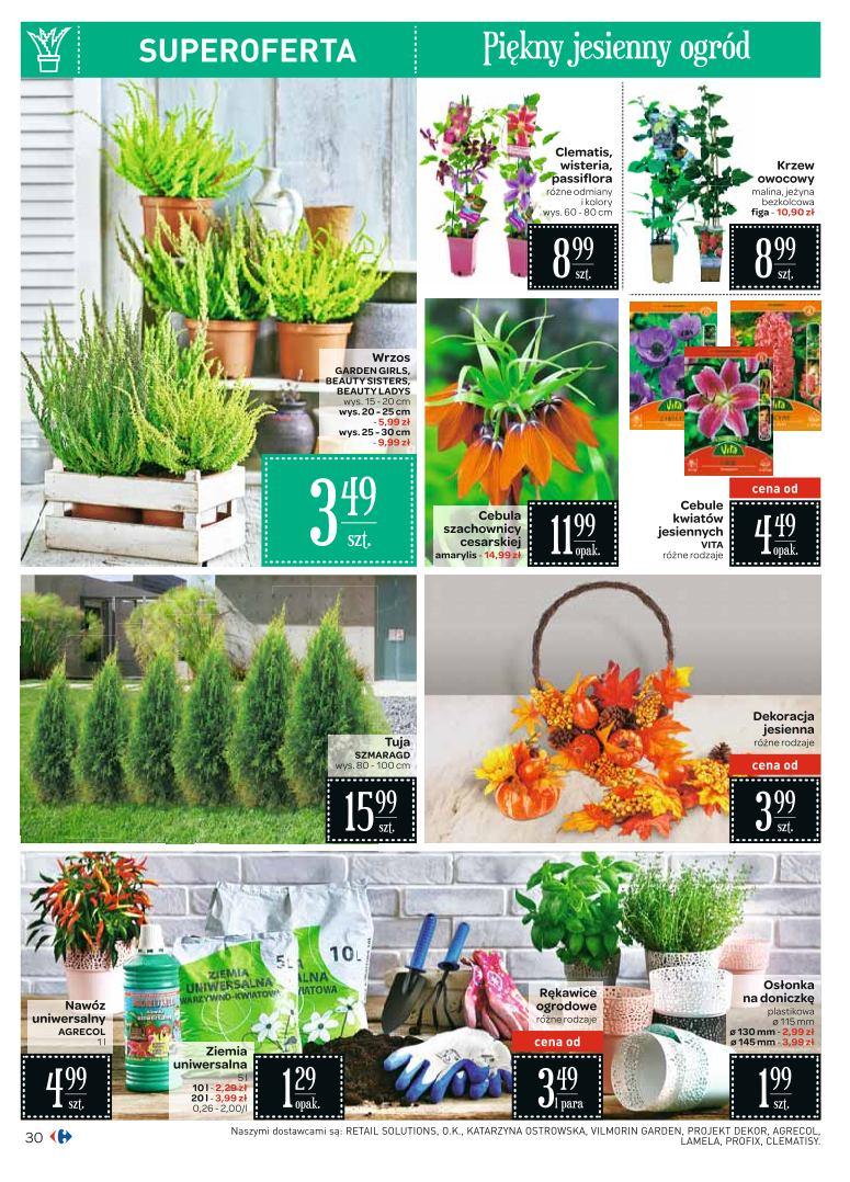 Gazetka promocyjna Carrefour str. 30
