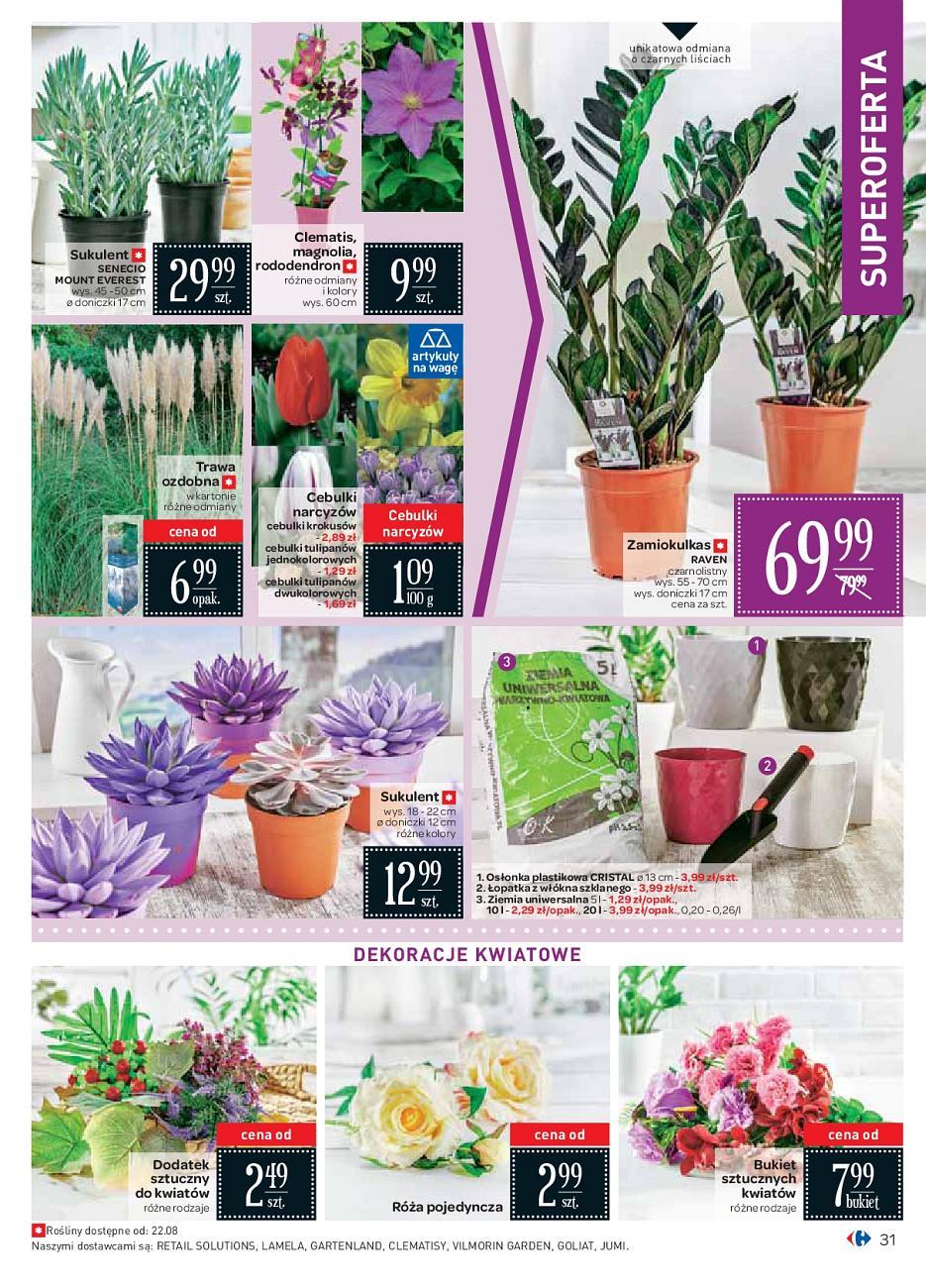 Gazetka promocyjna Carrefour str. 31