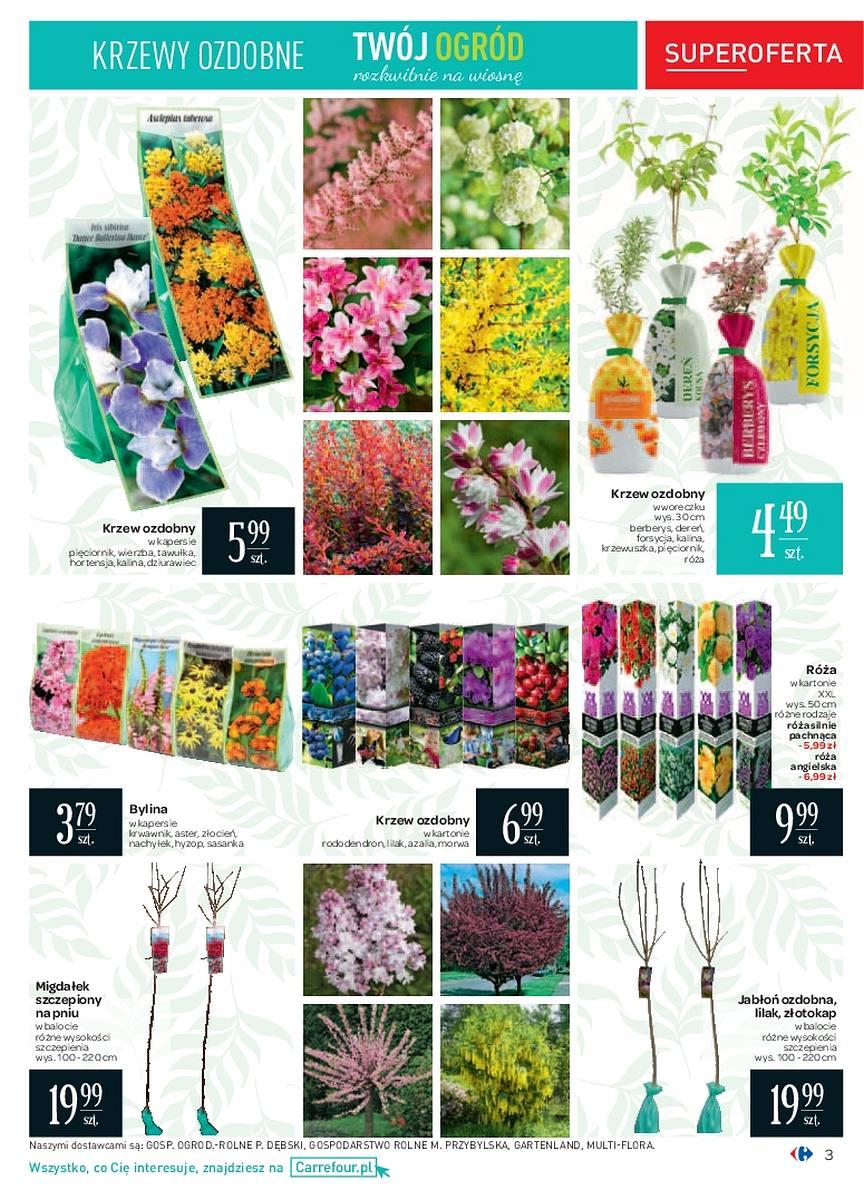 Gazetka promocyjna Carrefour str. 3