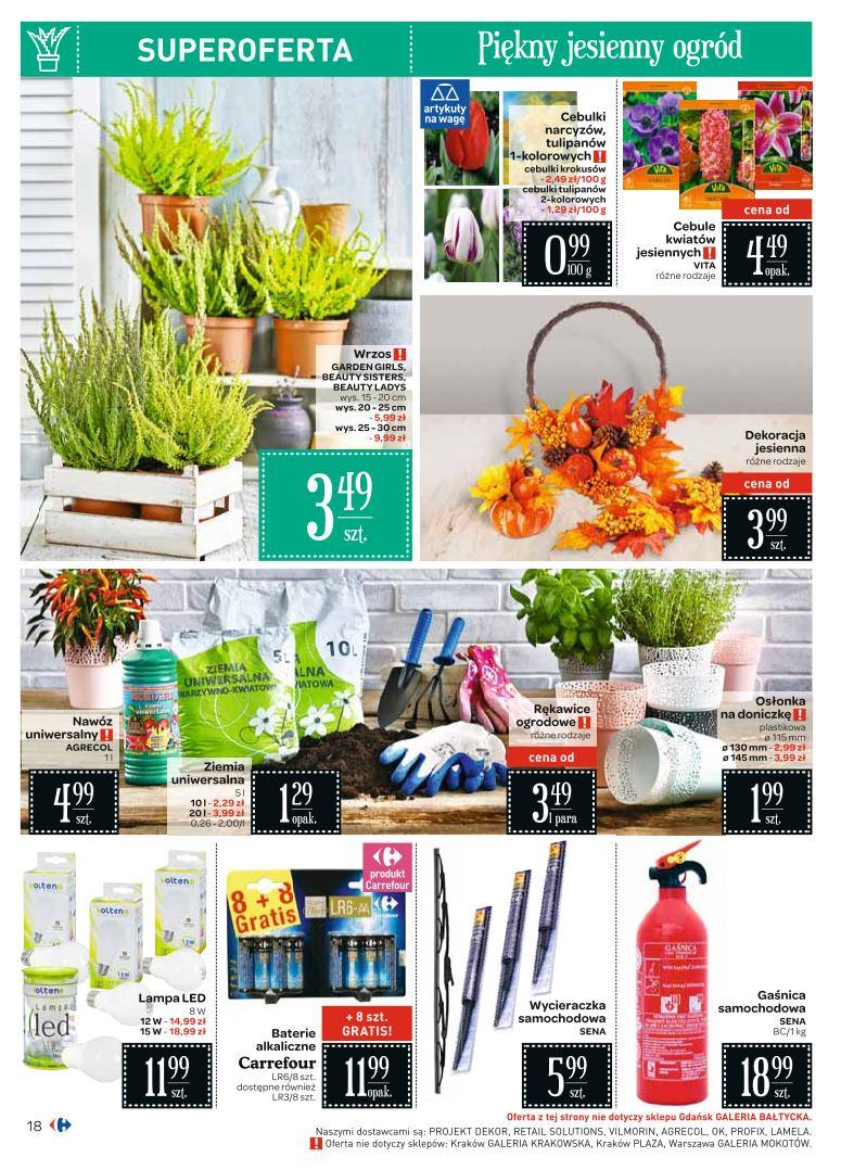 Gazetka promocyjna Carrefour str. 18