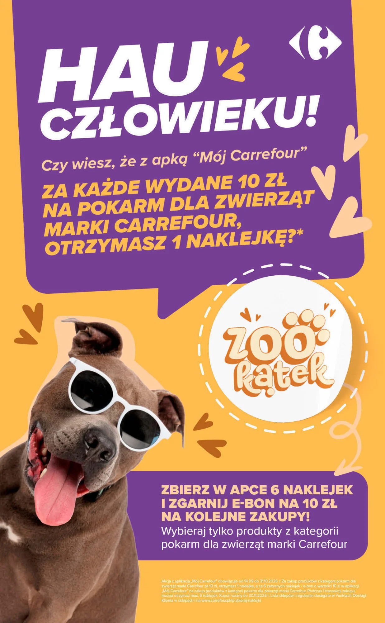 Gazetka promocyjna Carrefour str. 10