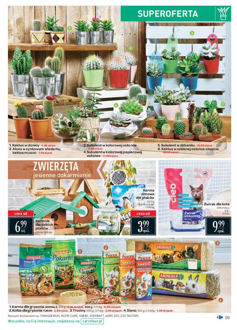 Gazetka promocyjna Carrefour str. 29