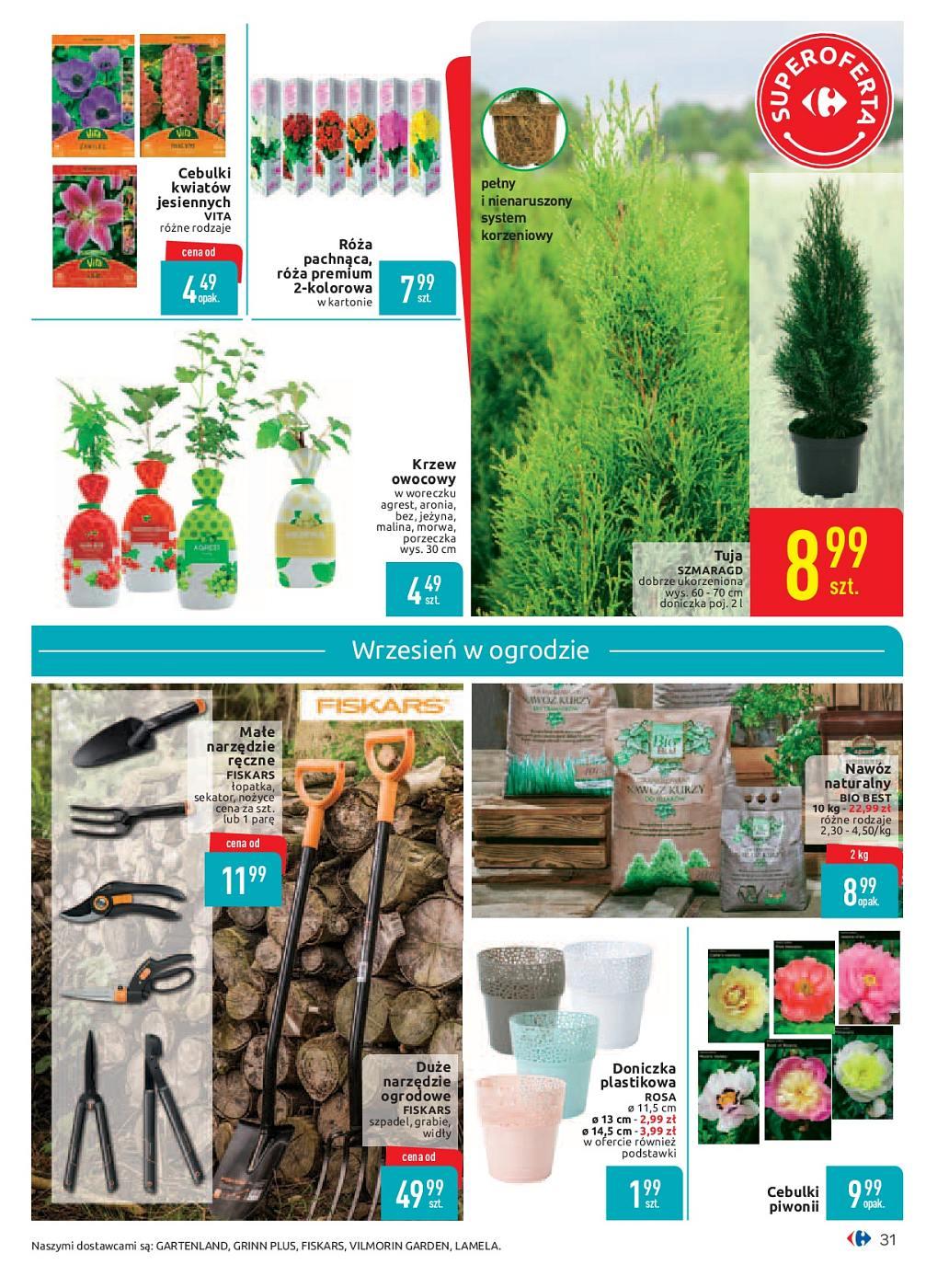 Gazetka promocyjna Carrefour str. 31