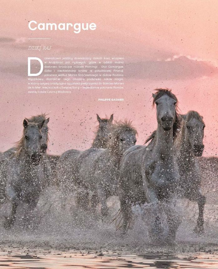 Gazetka promocyjna Carrefour str. 118