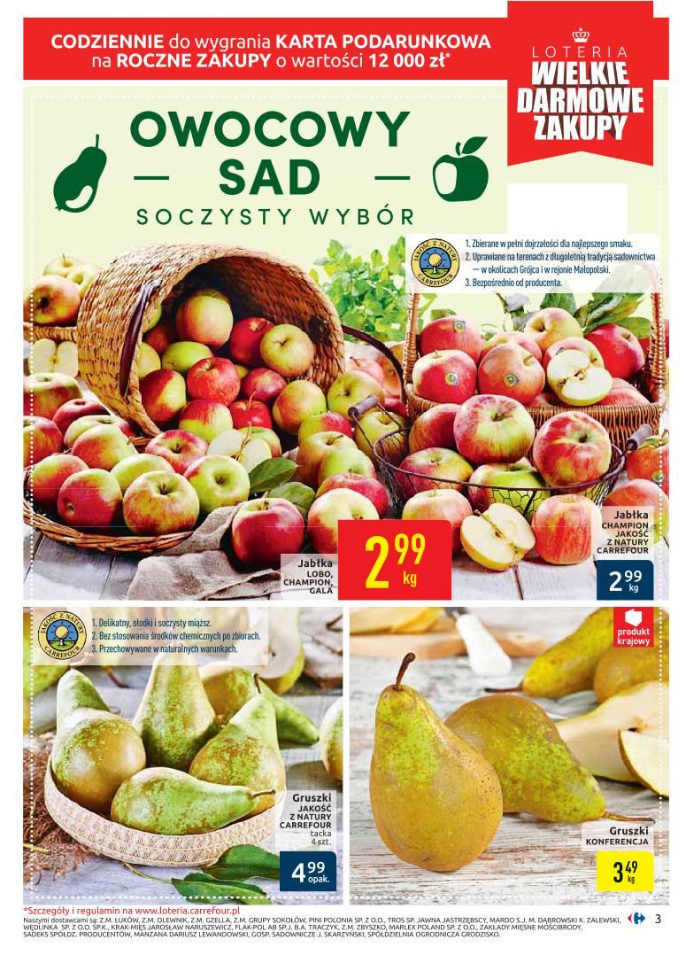 Gazetka promocyjna Carrefour str. 3