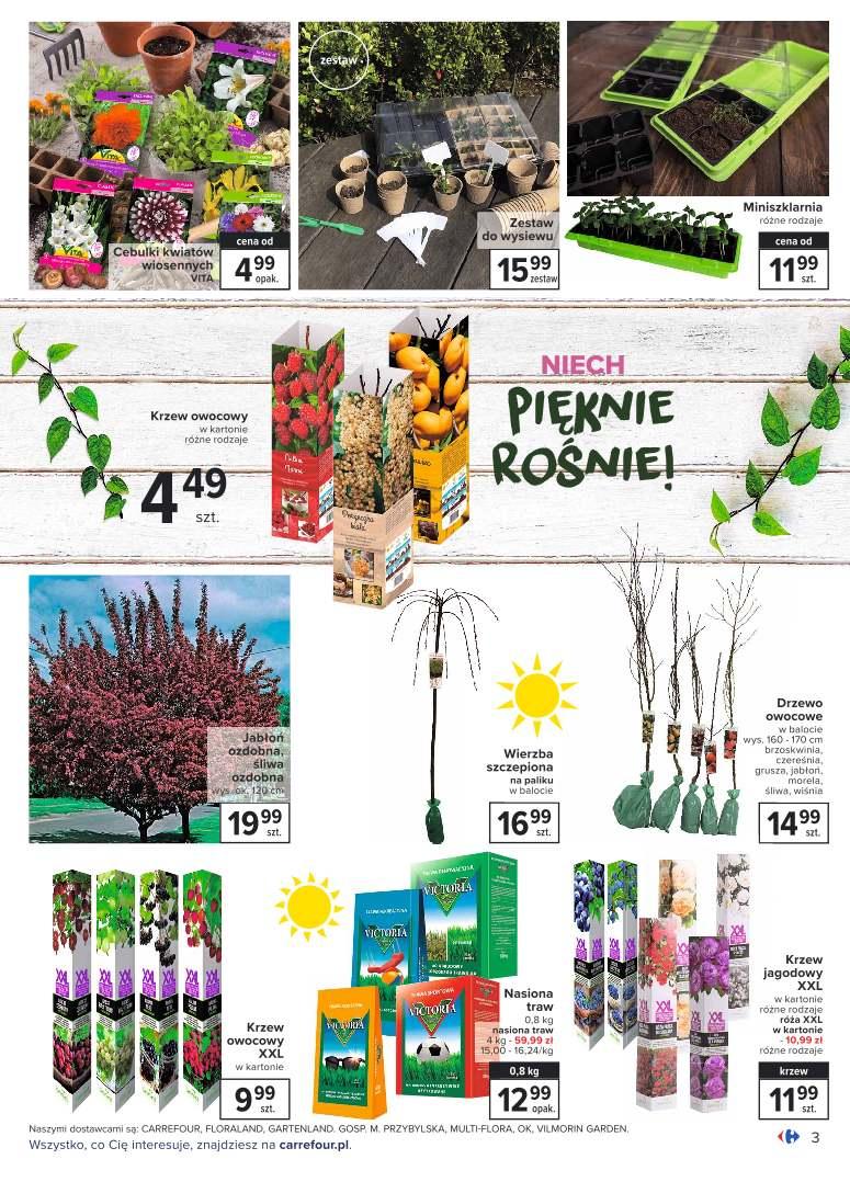Gazetka promocyjna Carrefour str. 3