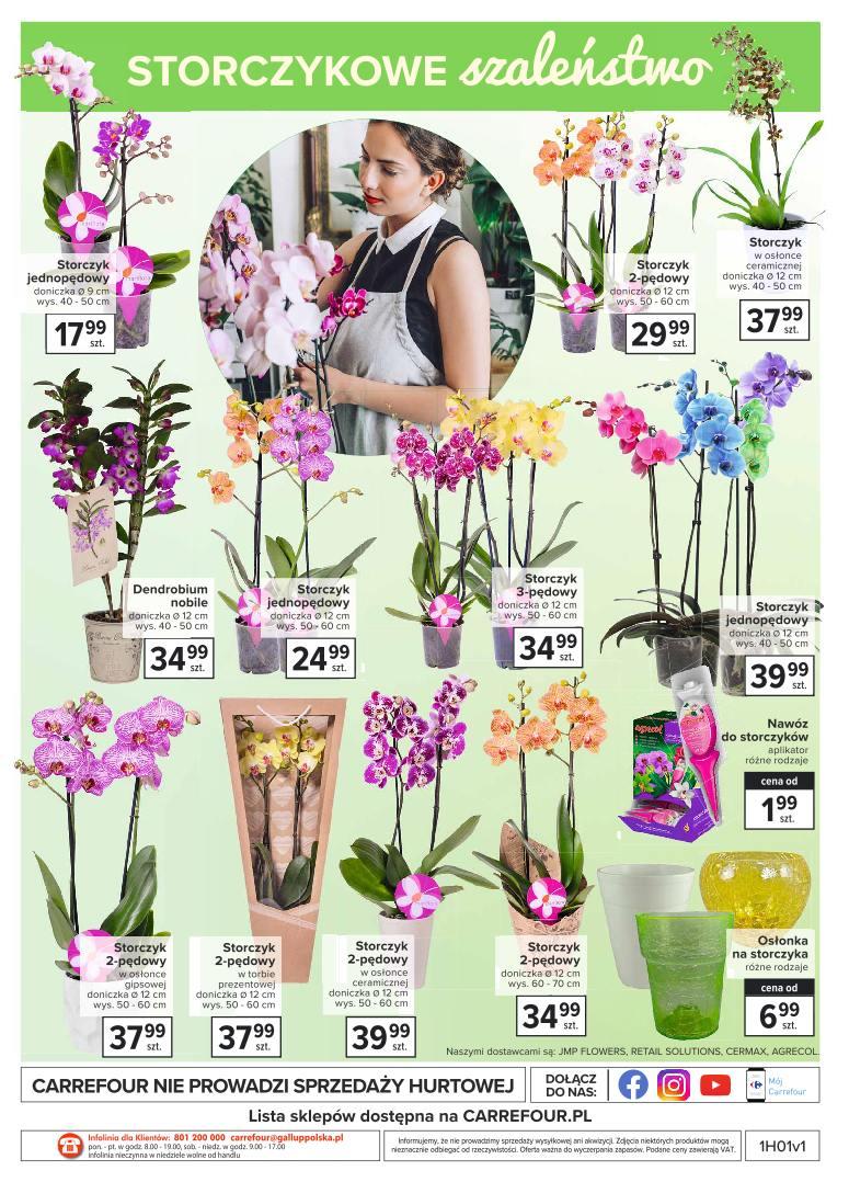 Gazetka promocyjna Carrefour str. 42